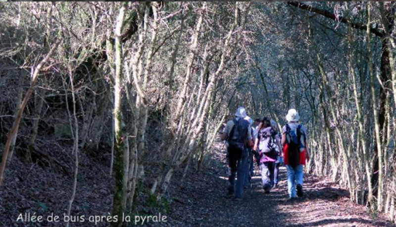 chemin-faisant5
