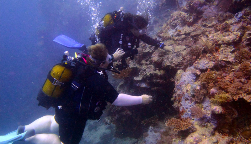 compagnons-neptune2