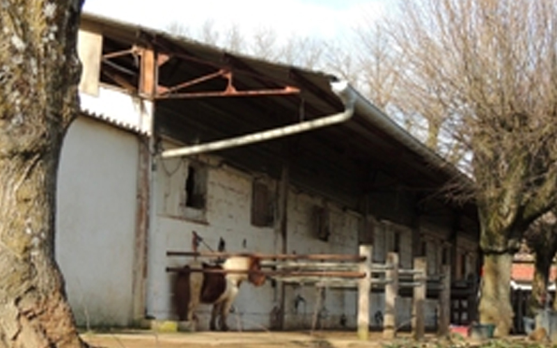 ecuries-quercy2