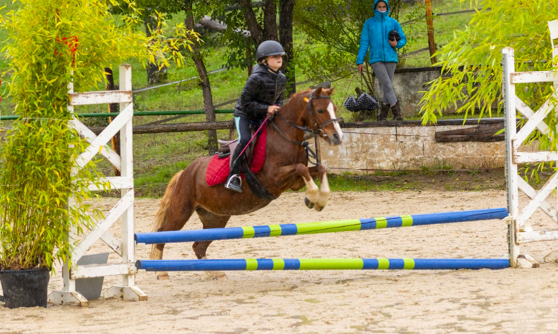 ecuries-quercy2