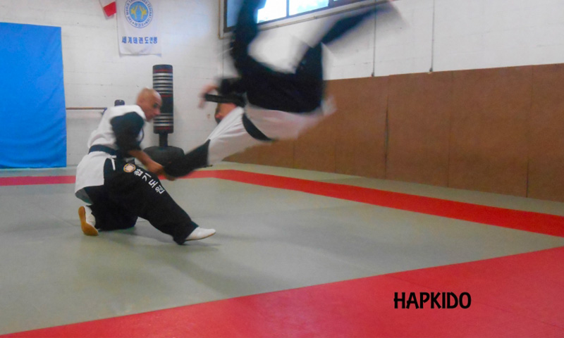 kwan-taekwondo-hapkido-cahors3