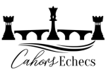 Logo-Bridge-small